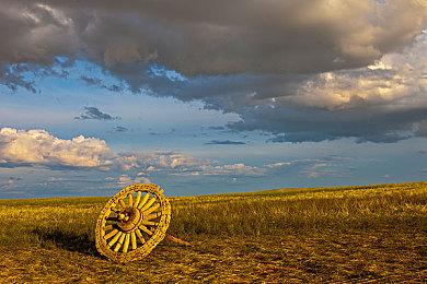 央企中国动漫集团招聘Coser演员 要求35岁以下身高165以上